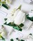 6-Piece White Boutonniere Set – Realistic Ranunculus & Pearl Corsages with Gold Pins for Groom, Groomsmen, Prom, Wedding, Homecoming, Anniversary, Formal Suits